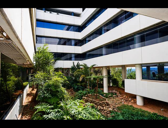 310M² OFFICE TO LET IN AUCKLAND PARK